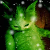 Игра Света. Зелёный котик, №23. Иван Левин,6 июня 2013 г.